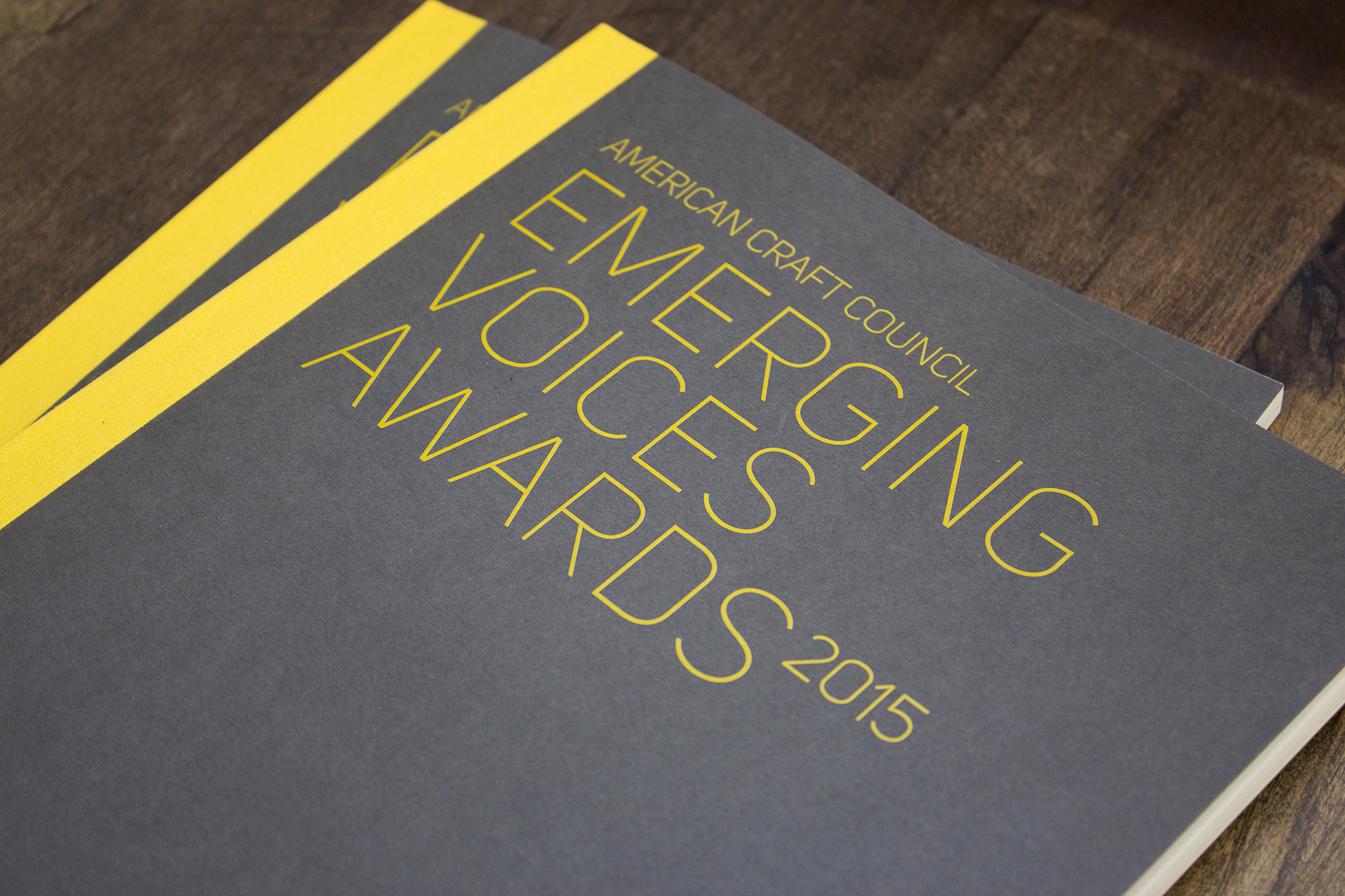 Cover of the Emerging Voices Awards sample