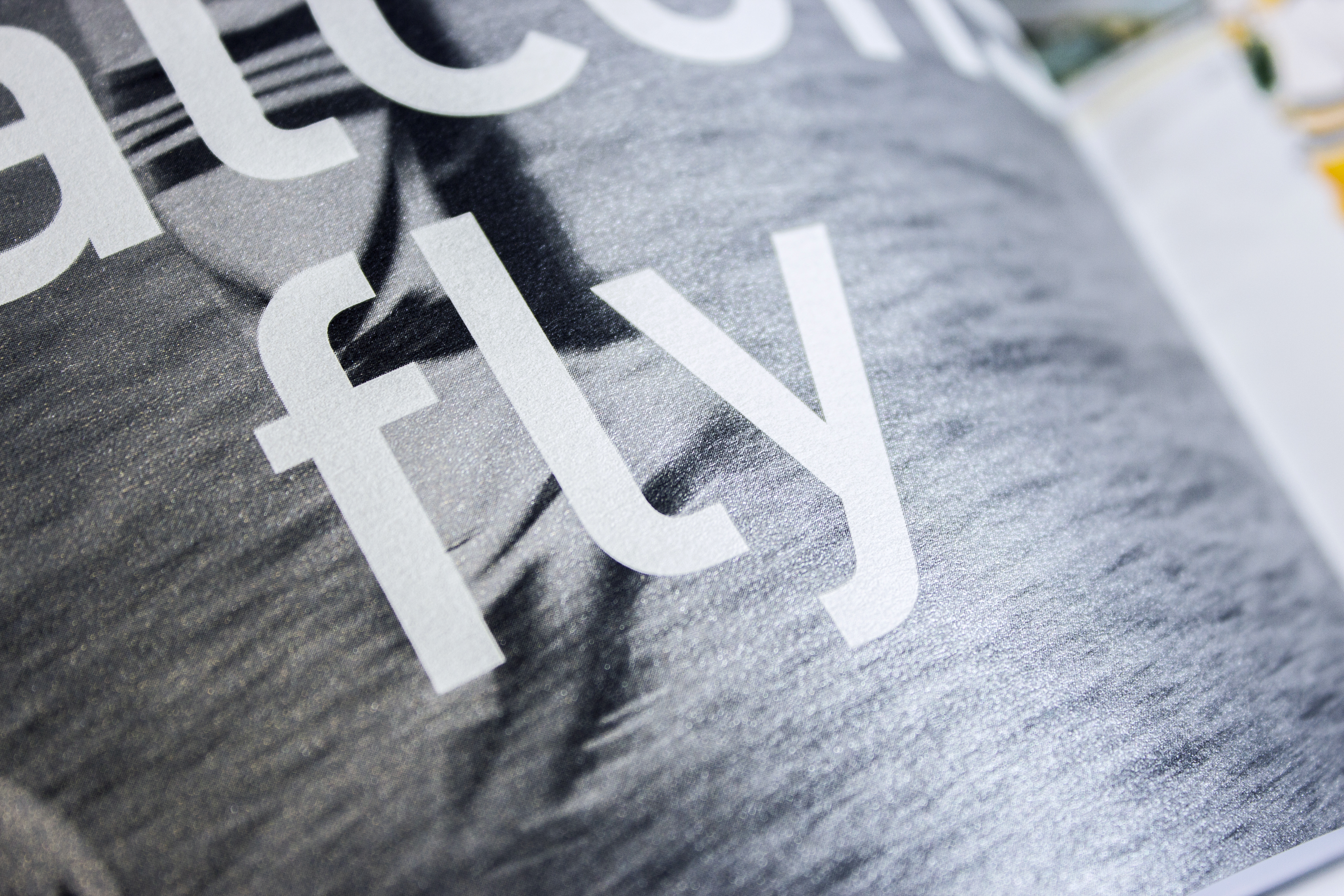 Close-up of opaque white typography