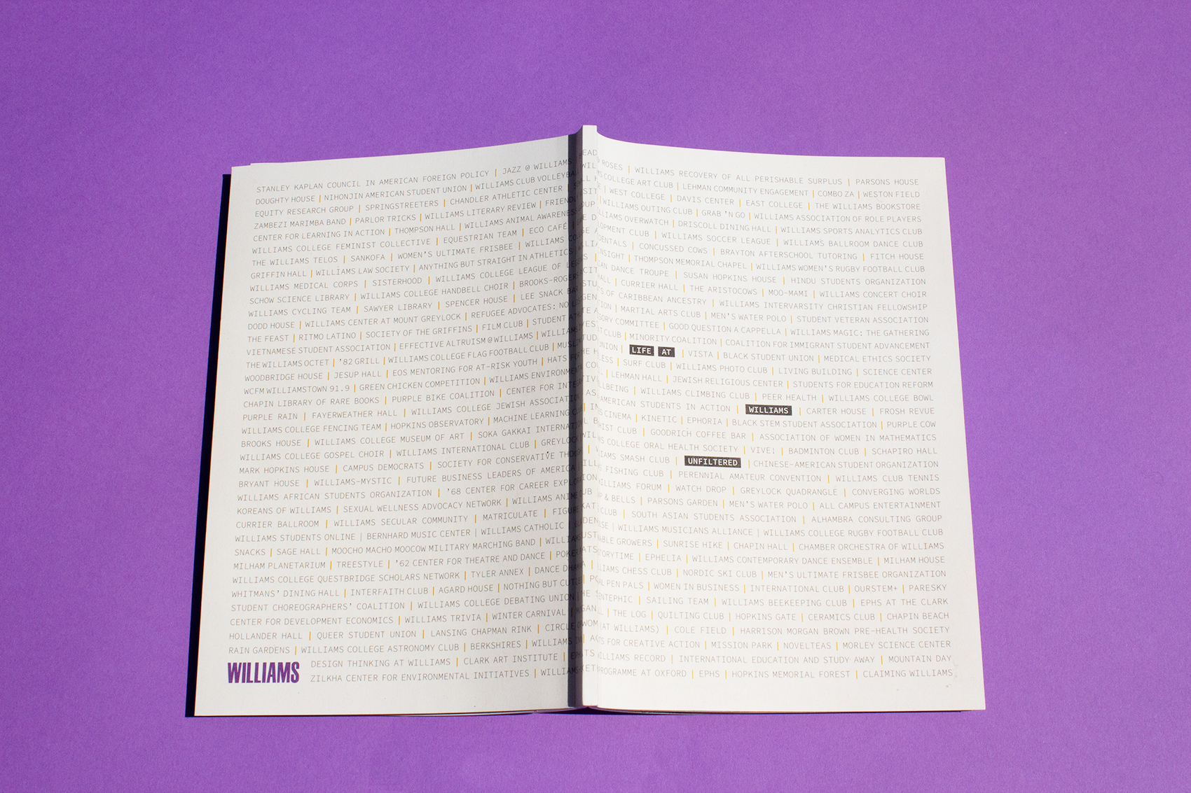 A French folded, perfect-bound viewbook placed open on a purple backdrop