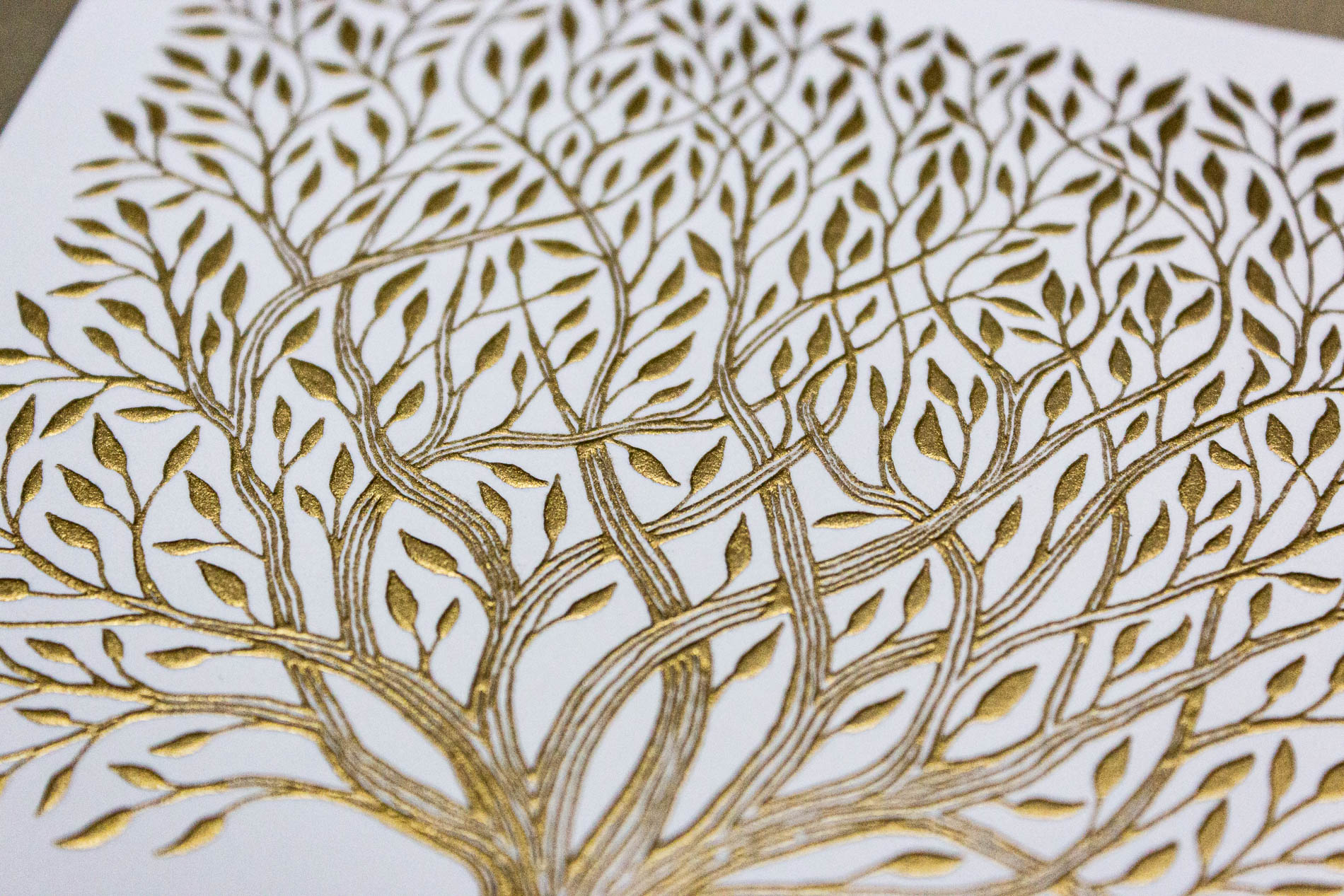 close-up of branches and leaves in Frazier's intricate illustration