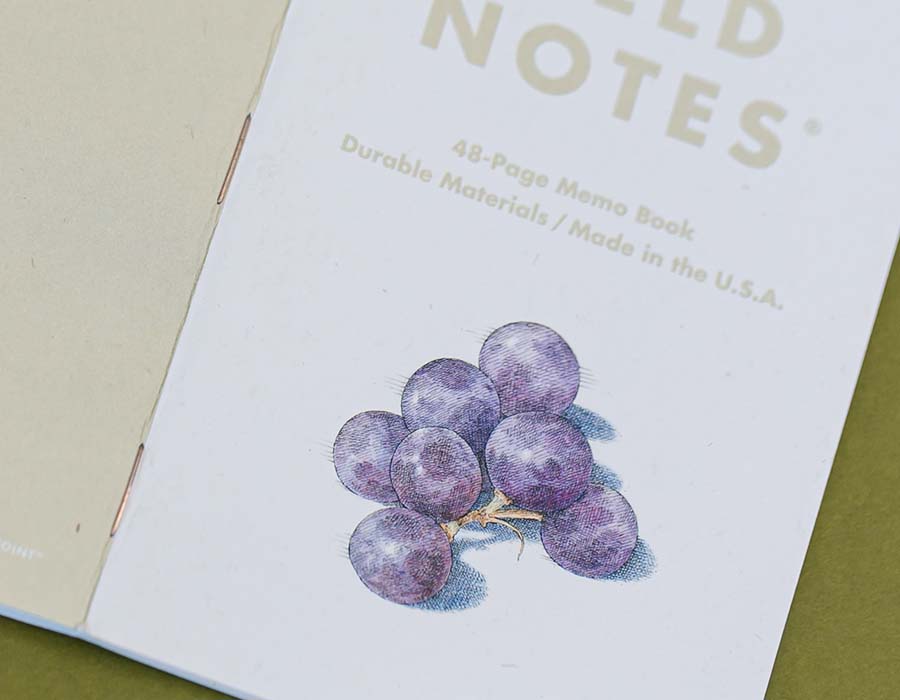 close-up of an illustration of grapes on a notebook cover