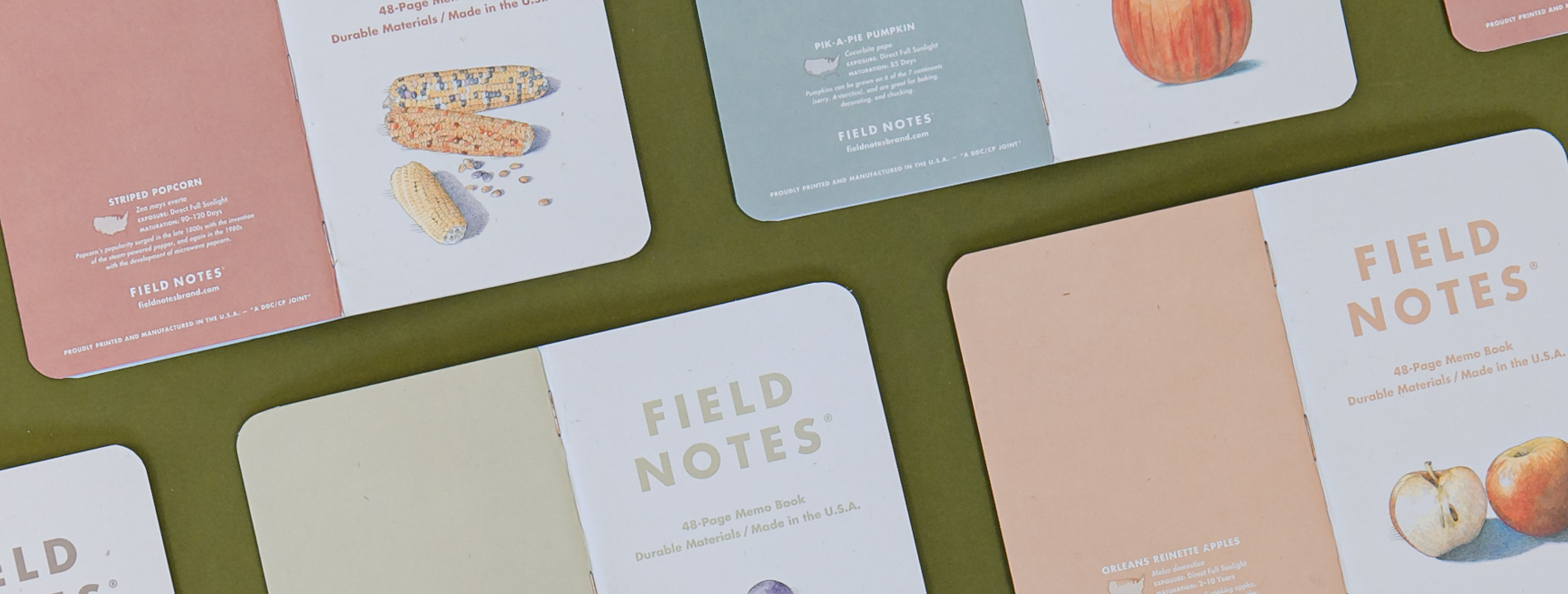 Field Notes beauty shot of multiple notebooks on a green background
