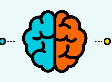 Illustration of a brain colored blue and orange