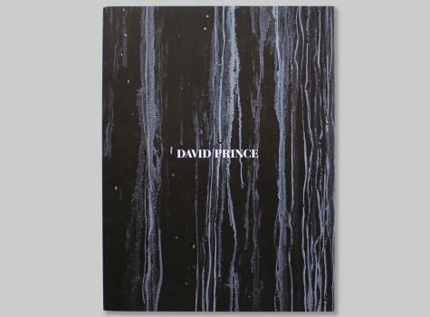 Front page of David Prince's portfolio