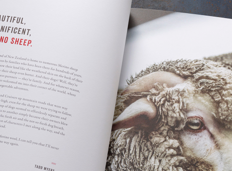 Close-up of open pages of Tadd Myers booklet with photograph of sheep